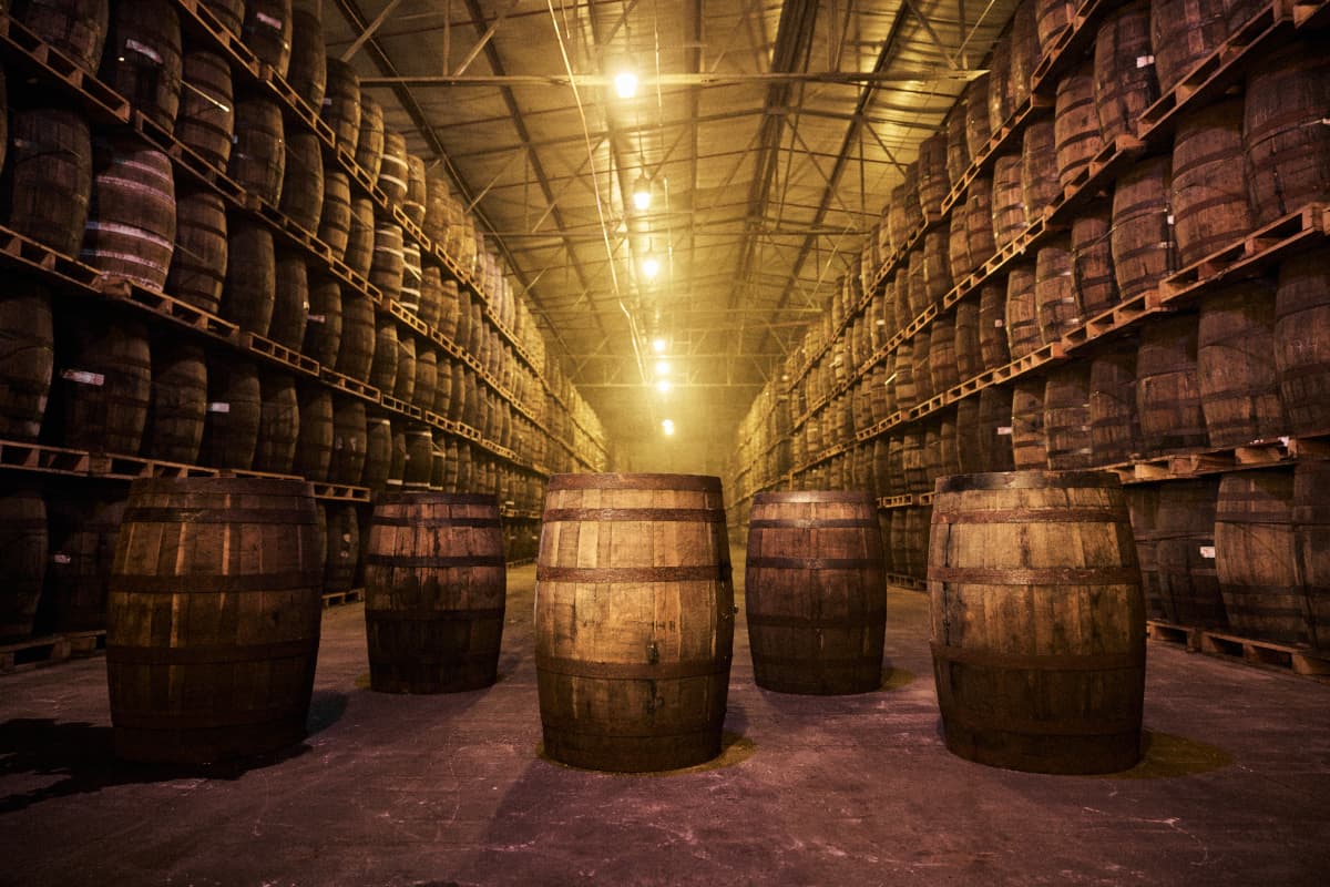 Large room lined with wooden casks of whisky