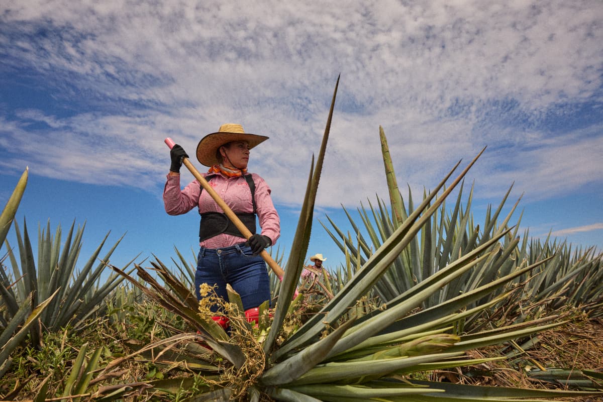 Woman holding a shovel in a field in Mexico 