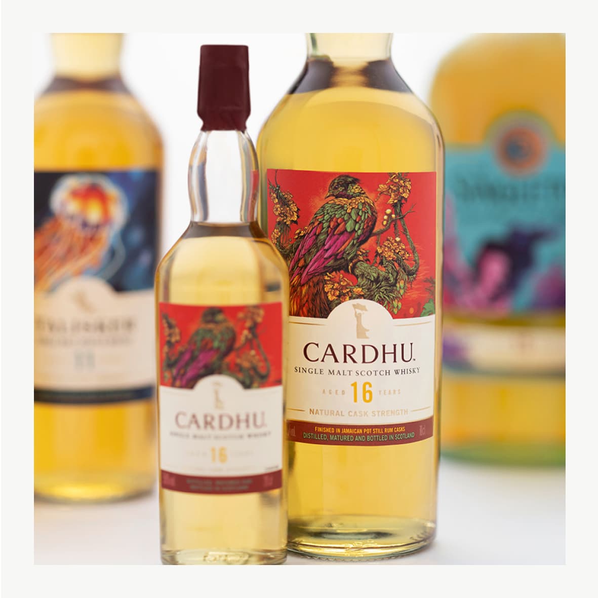 Cardhu 16 year old Special Releases 2022 70cl with different bottles 